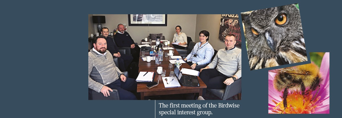 Get involved in BPCA Birdwise or Beewise Get involved in BPCA Birdwise or Beewise